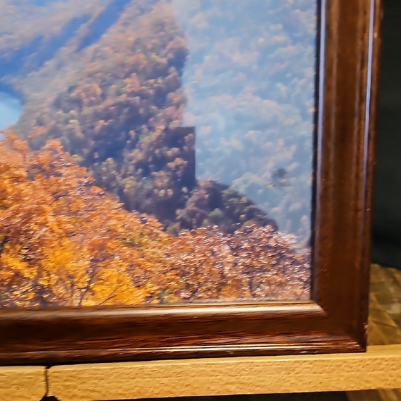 Brown Framed Landscape Wall Art - Picture 4 of 8
